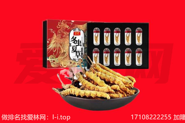 乌达区回收虫草.jpg